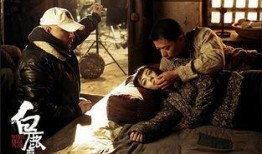 白鹿原电影在线观看,穿越历史的长河，探寻家族命运之谜